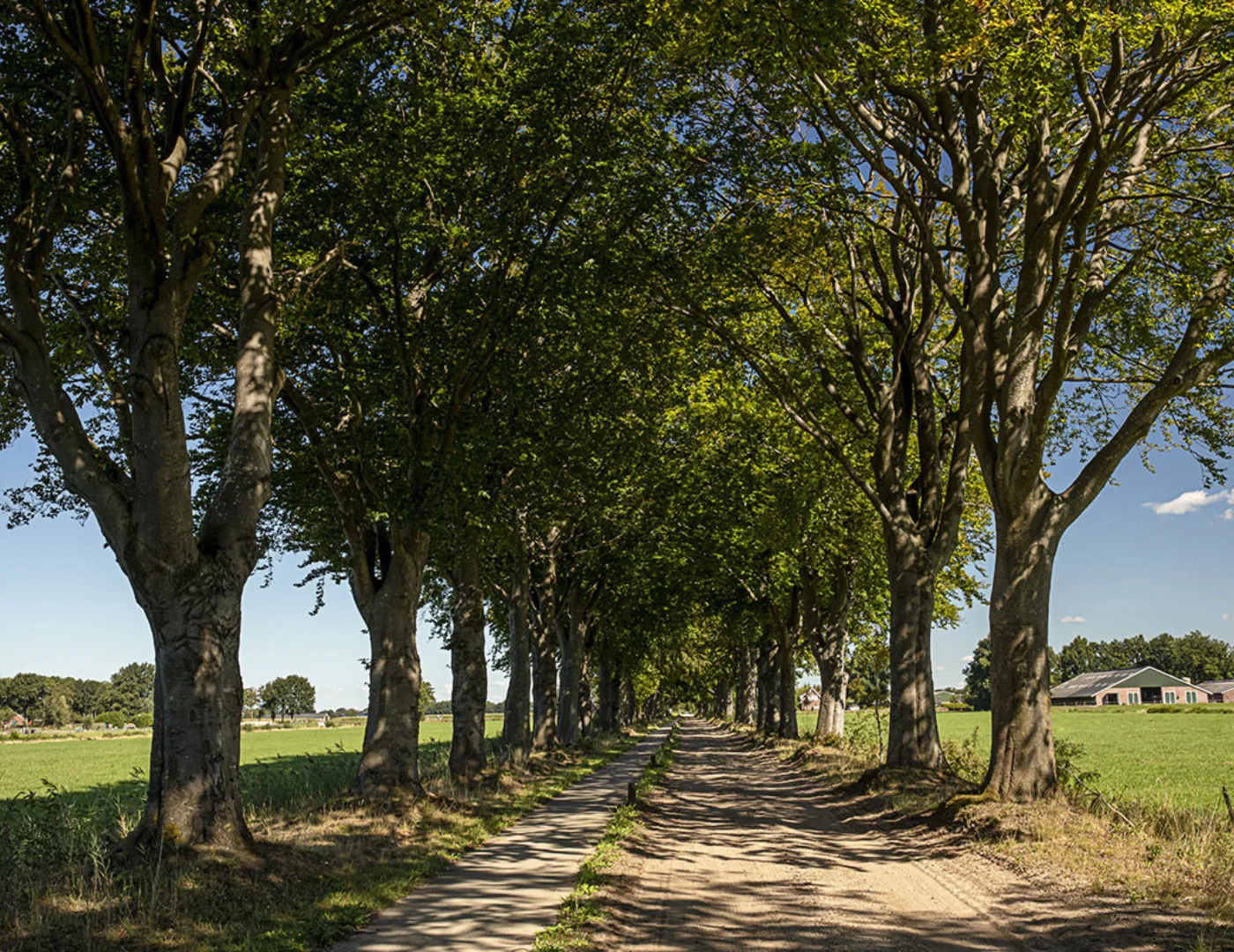 Vriezenveenseweg